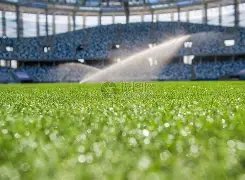 山东球迷李,平康遭戴琳,欠款陷昏迷,凯发登录口,凯发K8线上,凯发K8下载,凯发官网