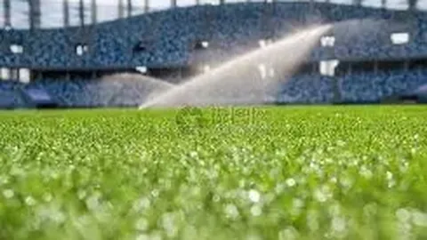 《尼科成长无限，哈兰德领袖风范初现：德尔夫点赞未来之星》