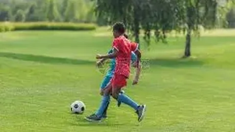 凯发K8 资讯 101954 jue