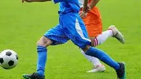 凯发K8 资讯 102028 bmf