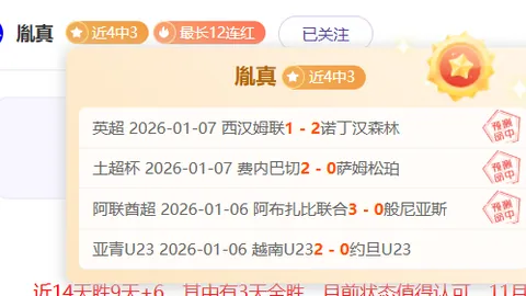 【巅峰对决】澳超第12轮：惠灵顿凤凰誓夺主场荣耀，迎战阿德莱德！