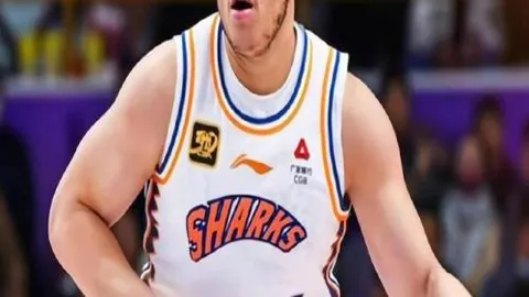 《独家揭秘！蒋圣龙肾脏积液成功排出，微创手术再现健康奇迹》